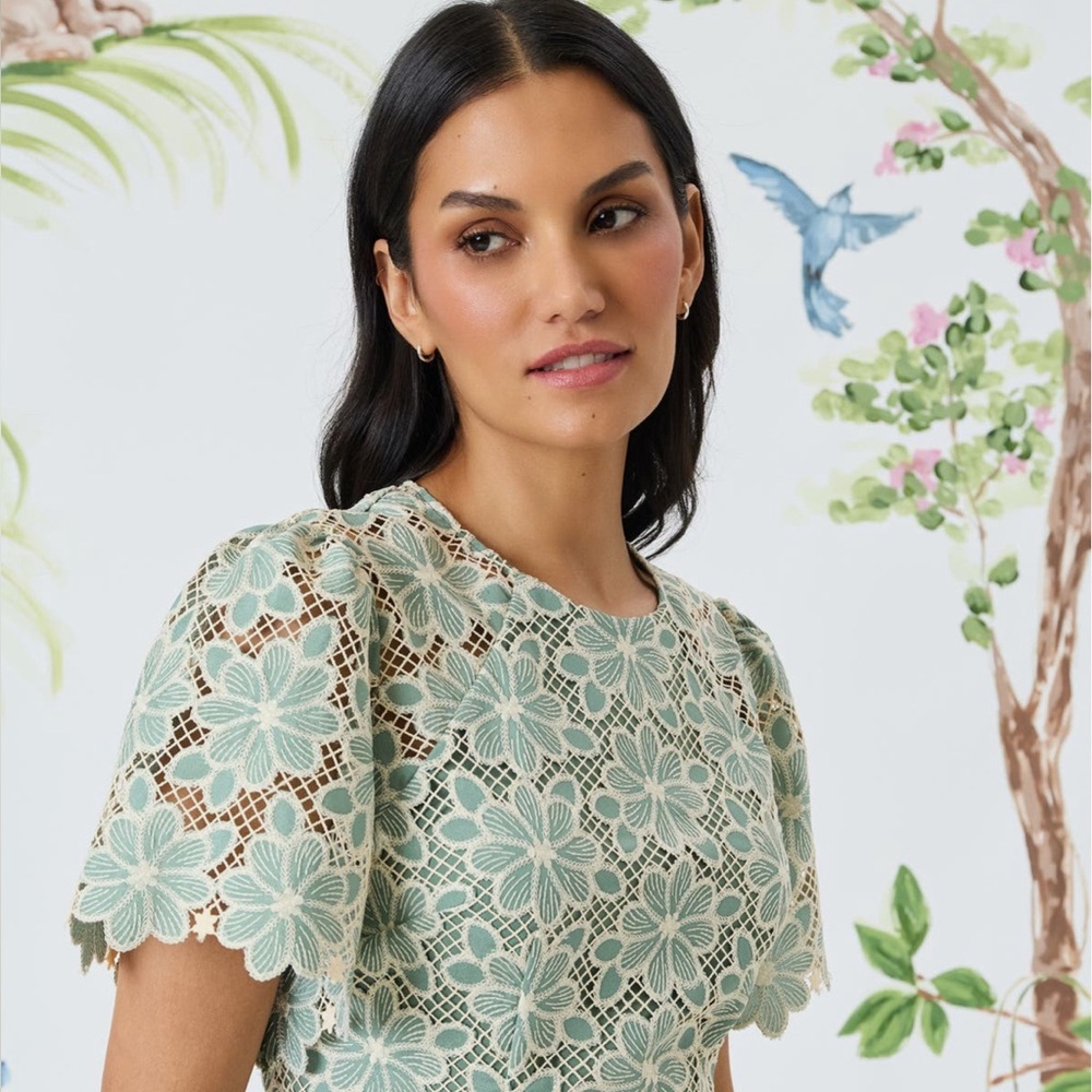 Elegant Lace Dress in Mint Green